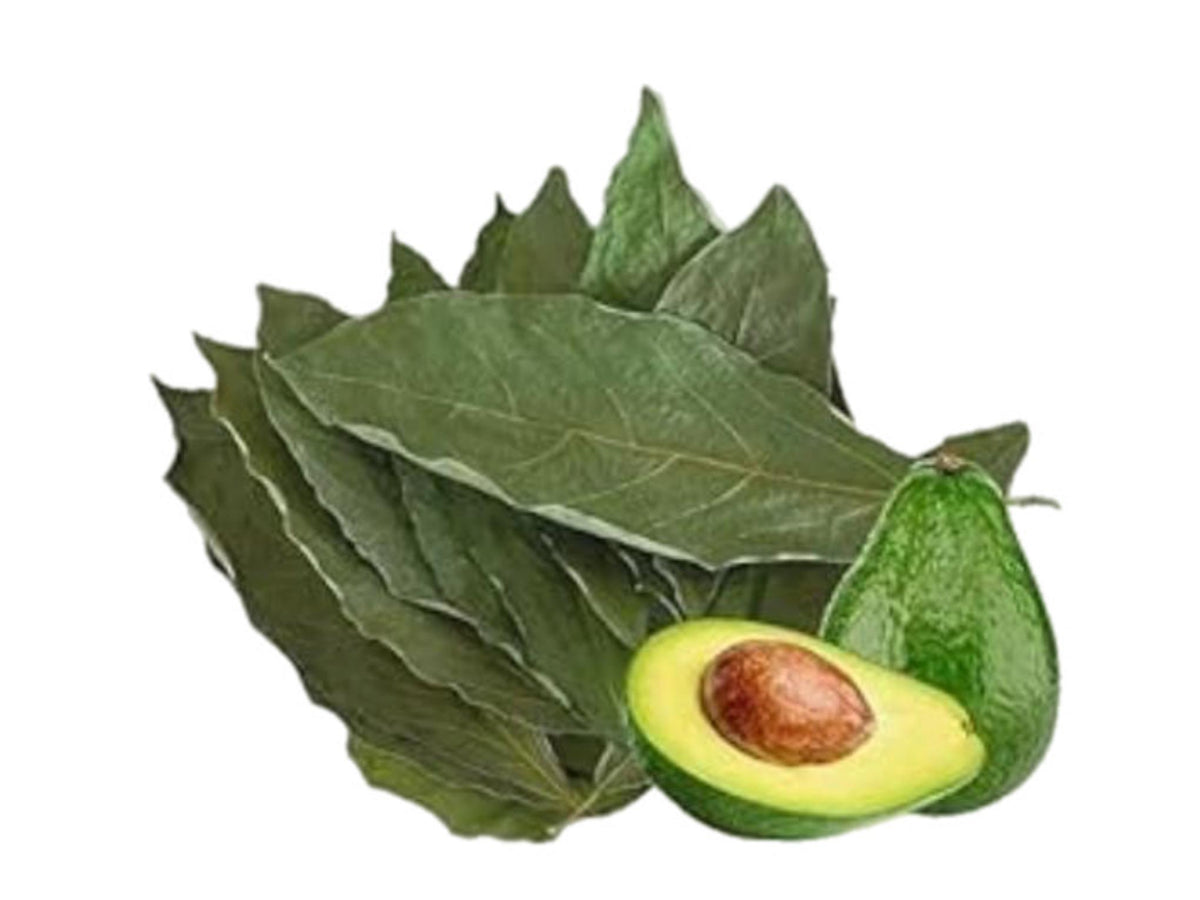 Feuille d'avocat séchée 50 G