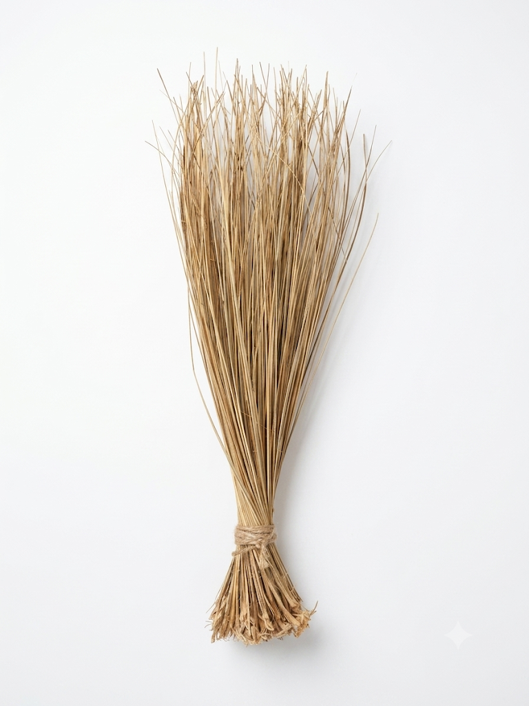Balai en fibres naturelles - vue simple