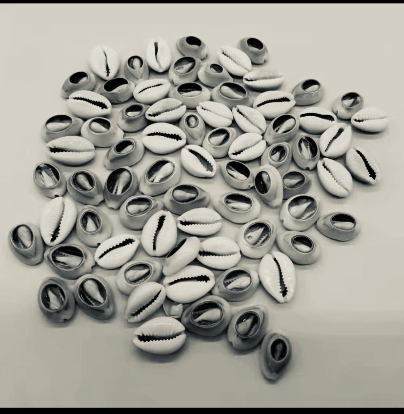 20 Cauris Naturels – Décoration & Bien-être