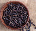 Poivre Long Africain