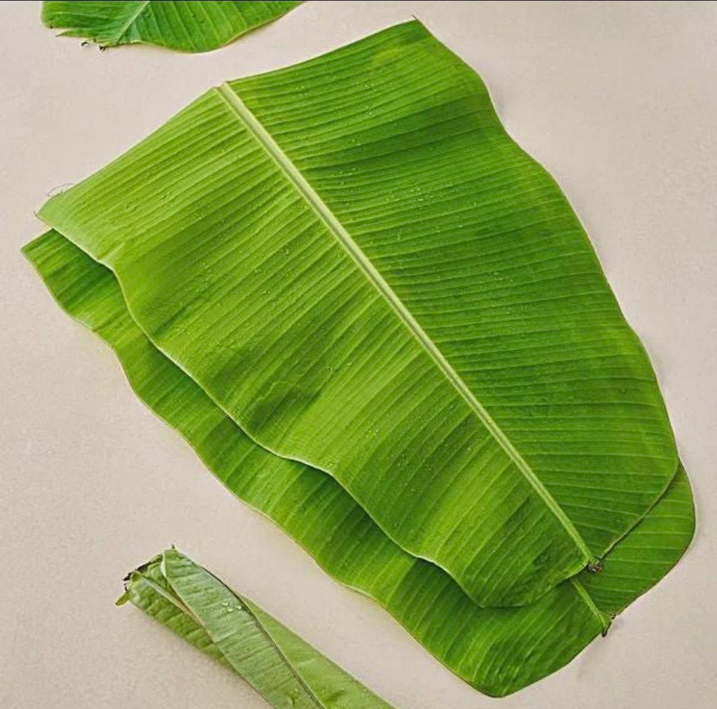 Feuilles de Sorgho Séchées 50g – Soin Naturel