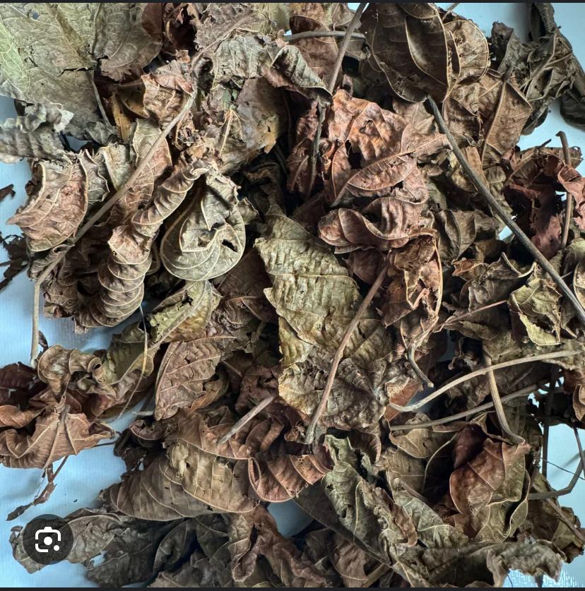 Feuilles de djéka Bio-Soins personnels -bains -rituels -kit
