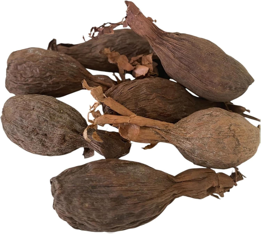 Maniguette entière, Gousse de piment de Guinée, (graines de paradis) piment alligator ou poivre alligator-- piment de guinée